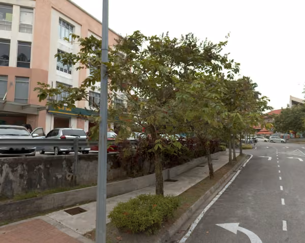 tree photo