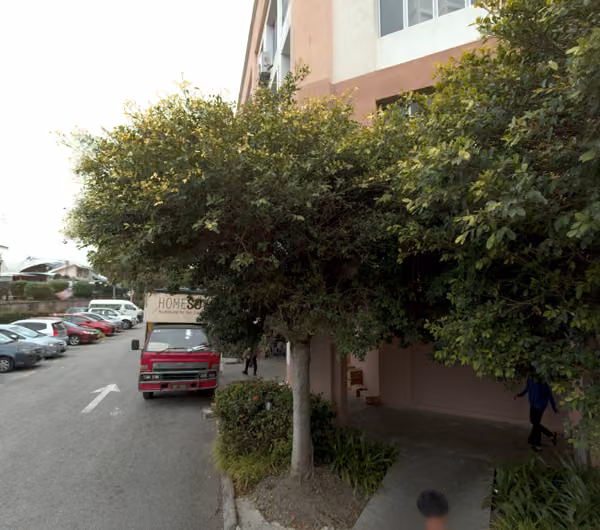 tree photo