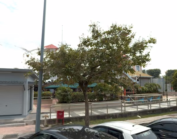 tree photo