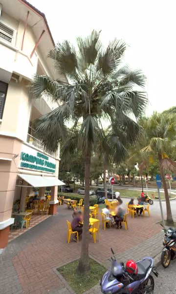 tree photo