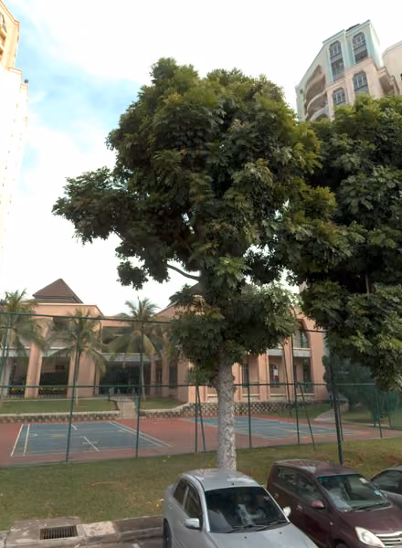 tree photo