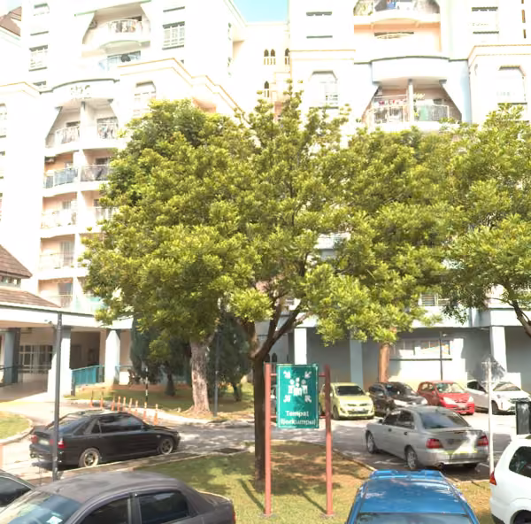 tree photo