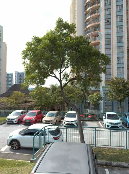 tree photo