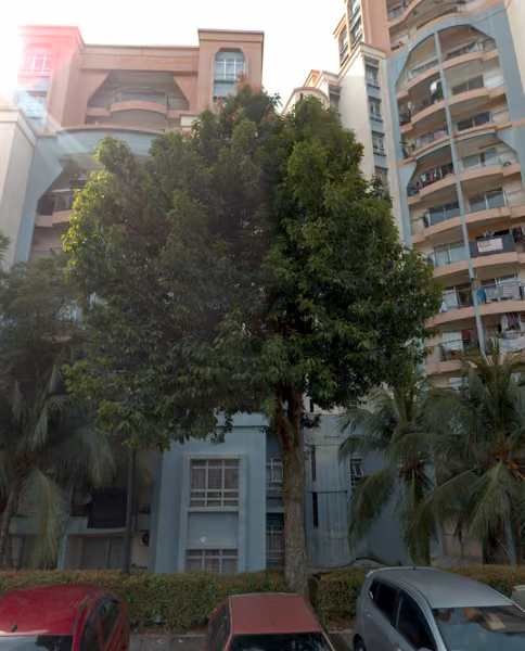 tree photo