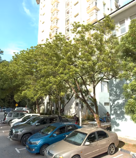 tree photo