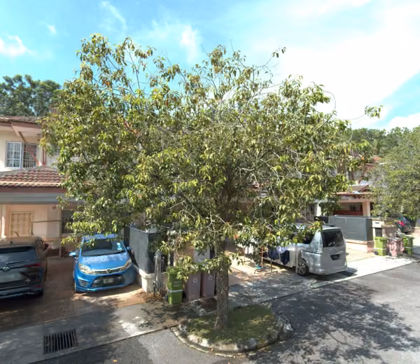 tree photo