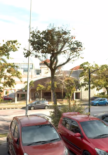 tree photo
