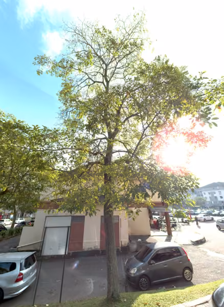 tree photo
