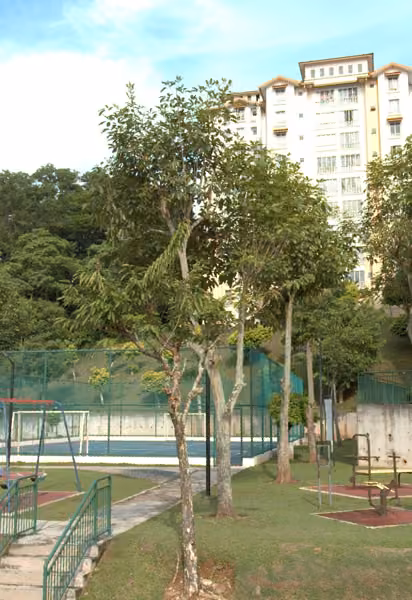 tree photo