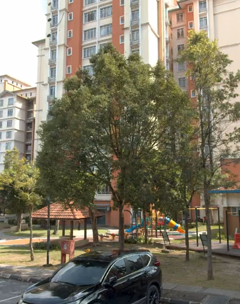 tree photo