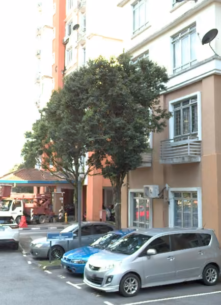 tree photo