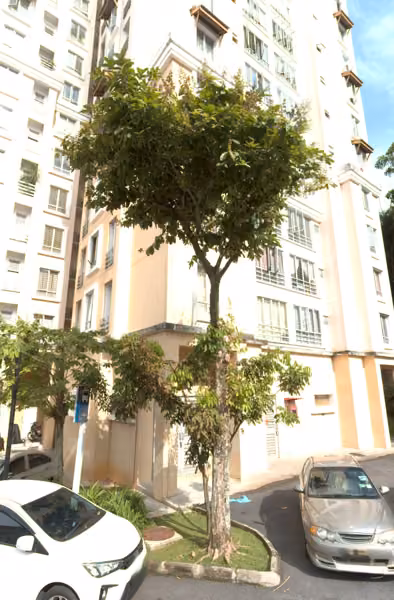 tree photo