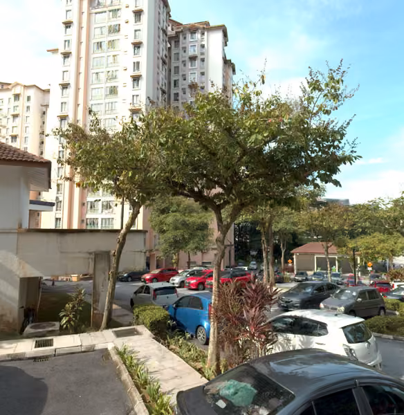 tree photo