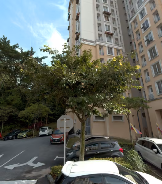 tree photo
