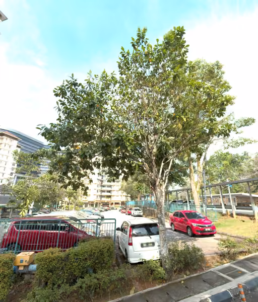 tree photo